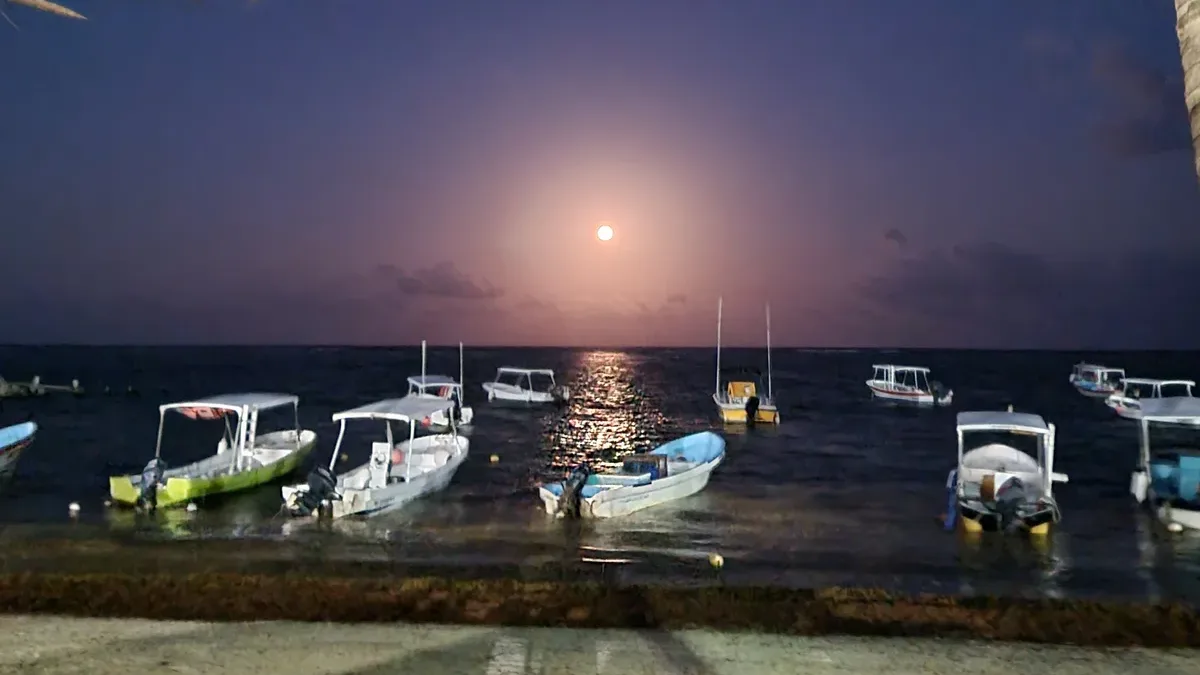 Full moon rising over the sea and moored fishing boats in Puerto Morelos, framed by palm fronds
