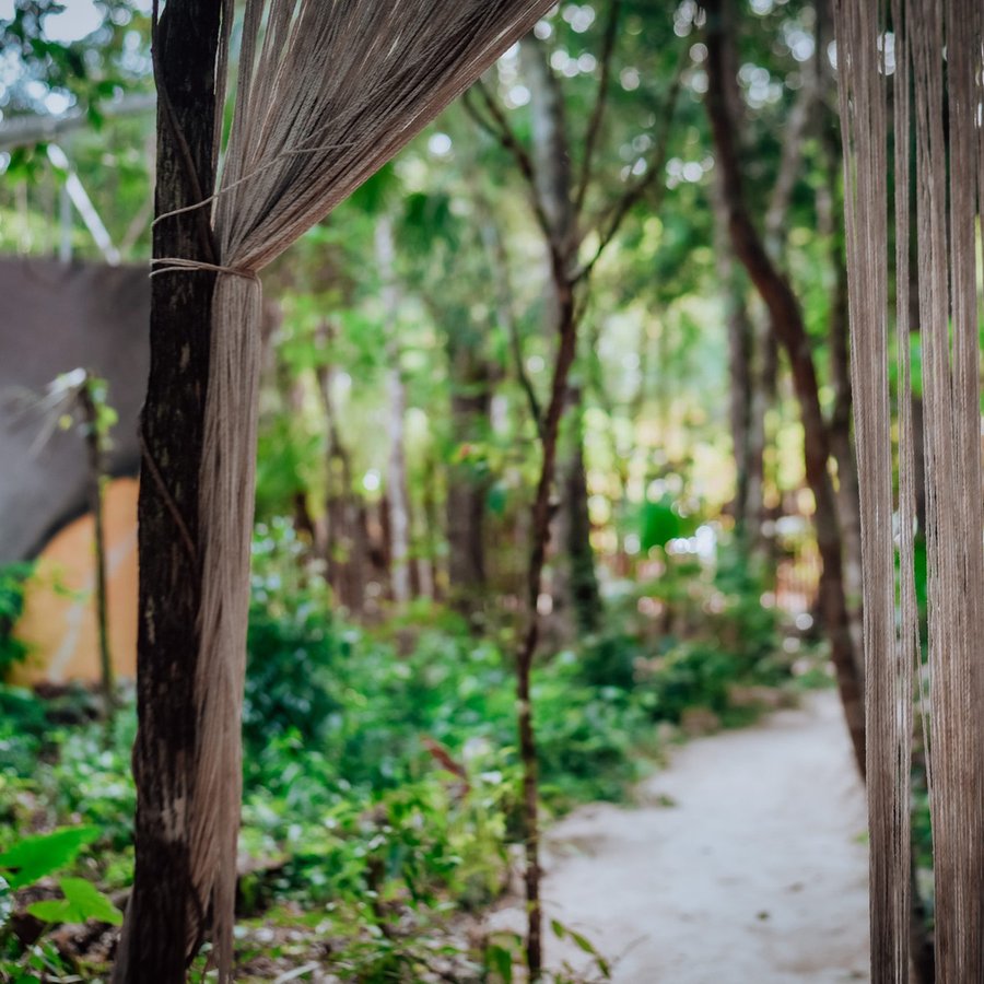 A walking path through the preserved jungle at Lunita