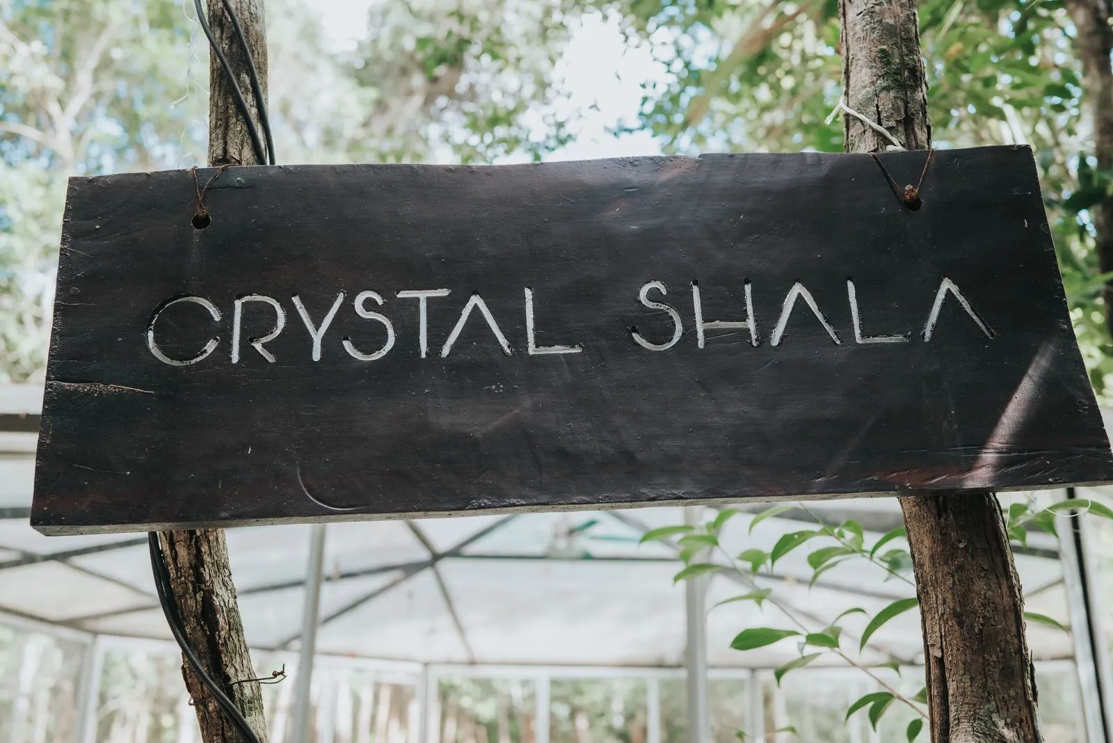 A hand-painted black wooden sign reading "CRYSTAL SHALA" hangs from vine-wrapped tree branches, Lunita Jungle Retreat