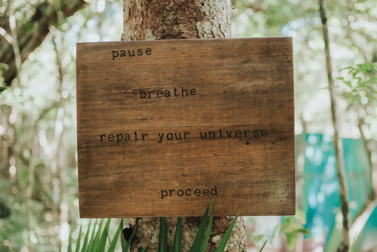 A weathered wooden sign nailed to a tree trunk reads "pause / breathe / repair your universe /, Lunita Jungle Retreat