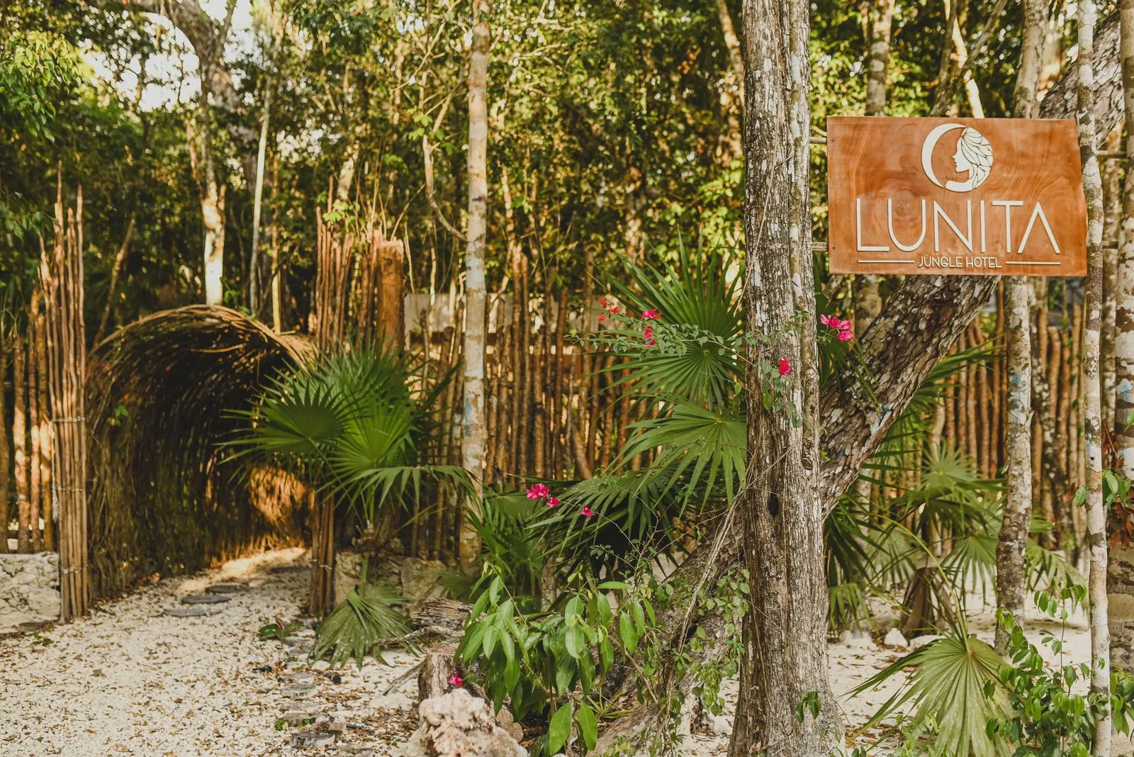 Lunita's wooden sign with moon logo hangs on a pale tree trunk at the entrance to a jungle path lined, Lunita Jungle Retreat