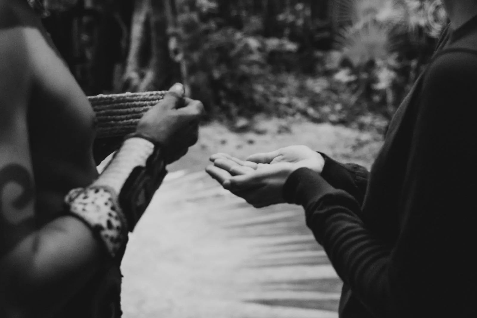Two people's hands meet over a woven white textile on a jungle path, Lunita Jungle Retreat