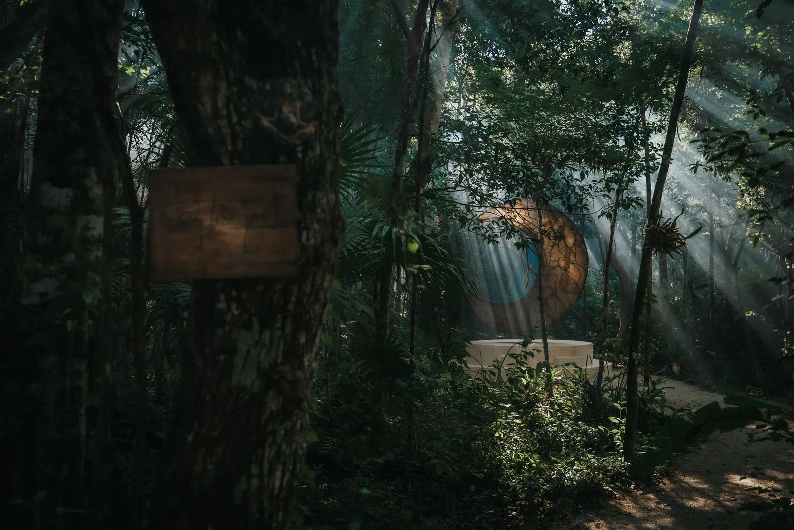 Someone practicing tai chi in the jungle, or a quiet photography moment in nature, wide horizontal. Craft and presence