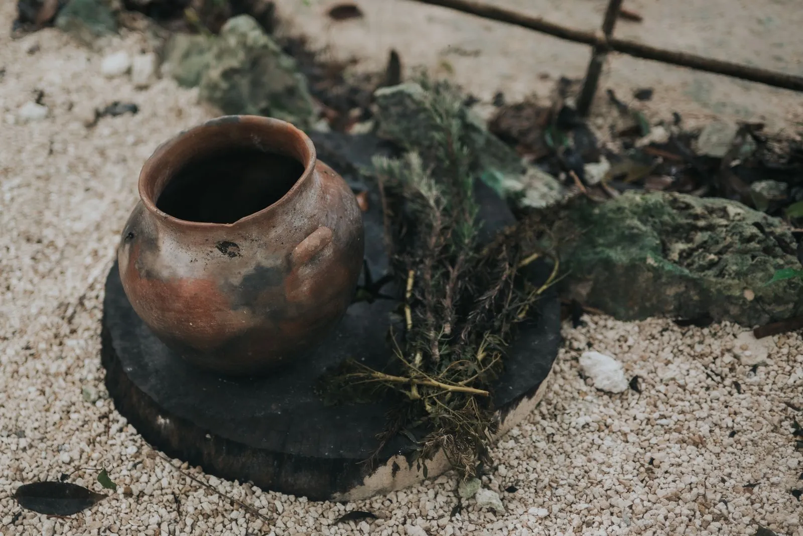 Terracotta vessel filled with dark liquid sits on a charred wooden base on pale sand, Lunita Jungle Retreat